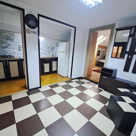 Shelby Accommodation -Adult Only- Sinaia Dış mekan fotoğraf