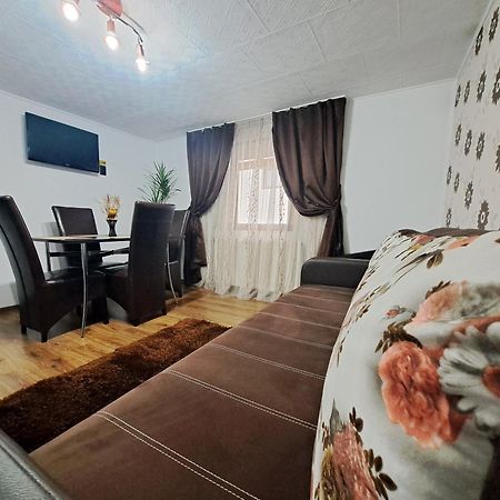 Shelby Accommodation -Adult Only- Sinaia Dış mekan fotoğraf