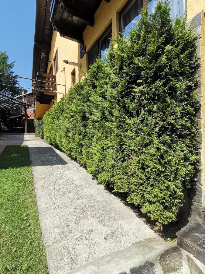 Shelby Accommodation -Adult Only- Sinaia Dış mekan fotoğraf