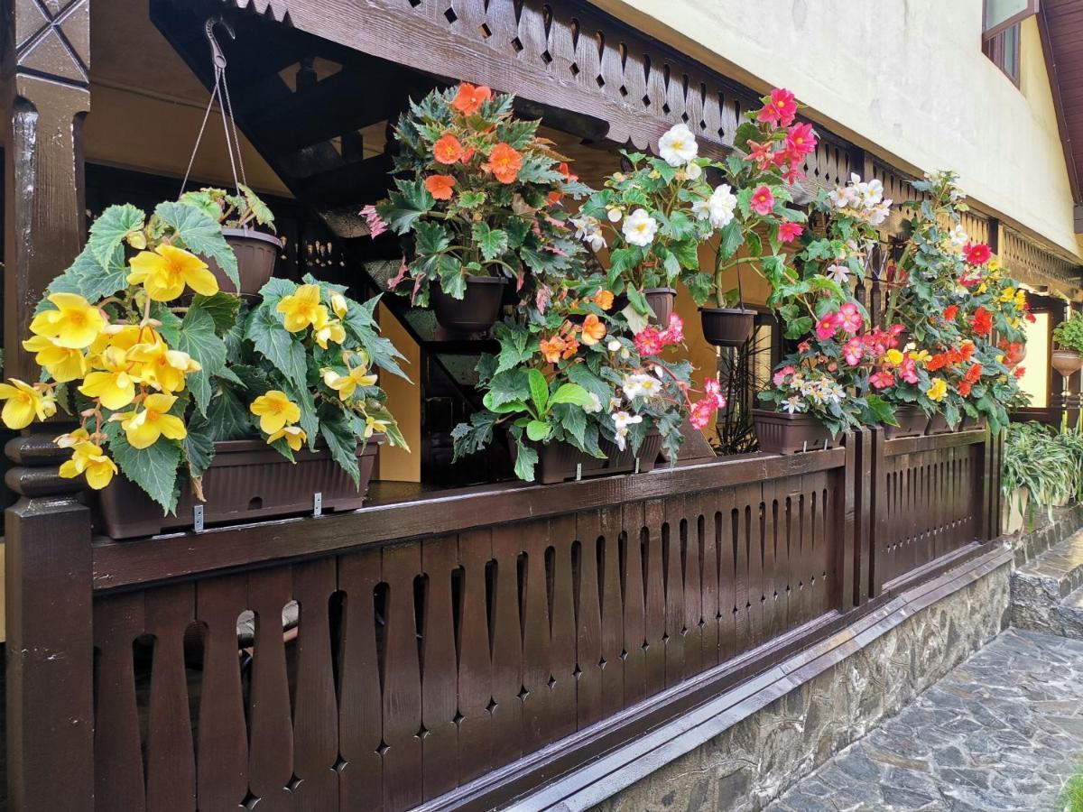 Shelby Accommodation -Adult Only- Sinaia Dış mekan fotoğraf