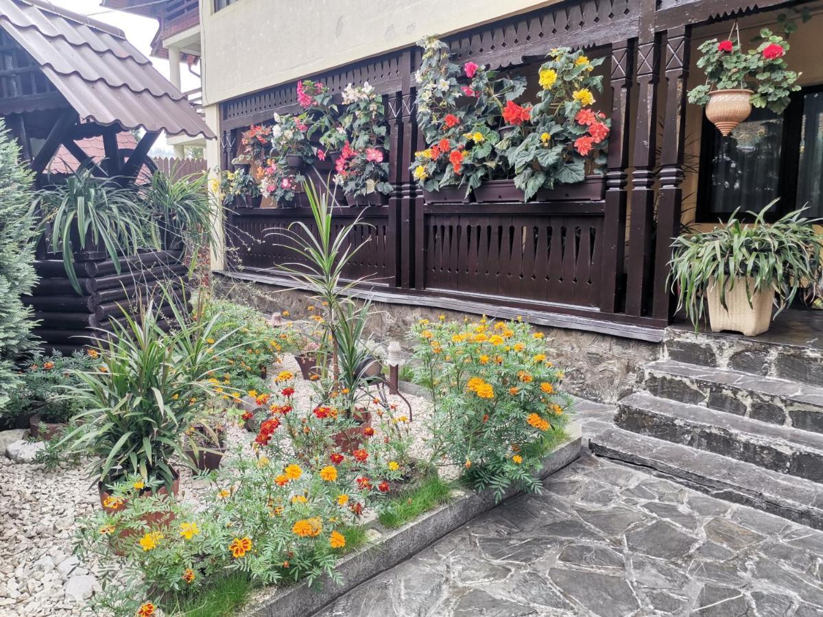 Shelby Accommodation -Adult Only- Sinaia Dış mekan fotoğraf