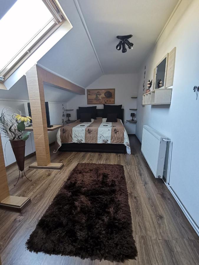 Shelby Accommodation -Adult Only- Sinaia Oda fotoğraf